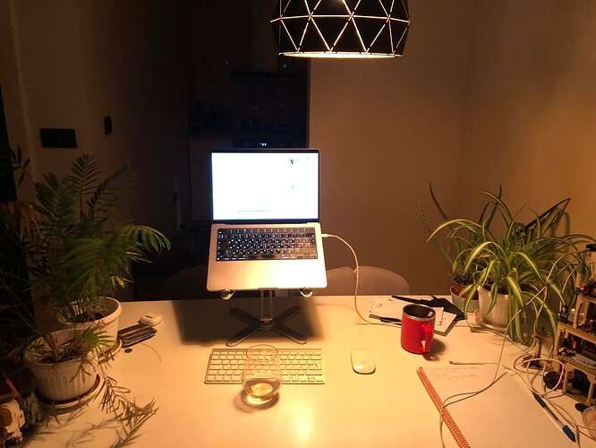 My home office from which I worked before joining NTP.